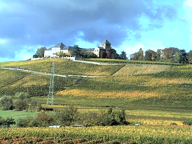 Webcam Rheingau