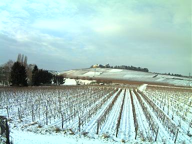 Webcam Rheingau