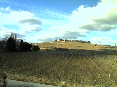 Webcam Rheingau