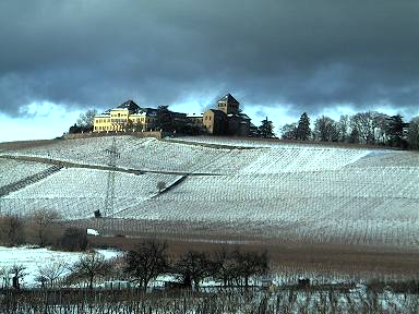 Webcam Rheingau