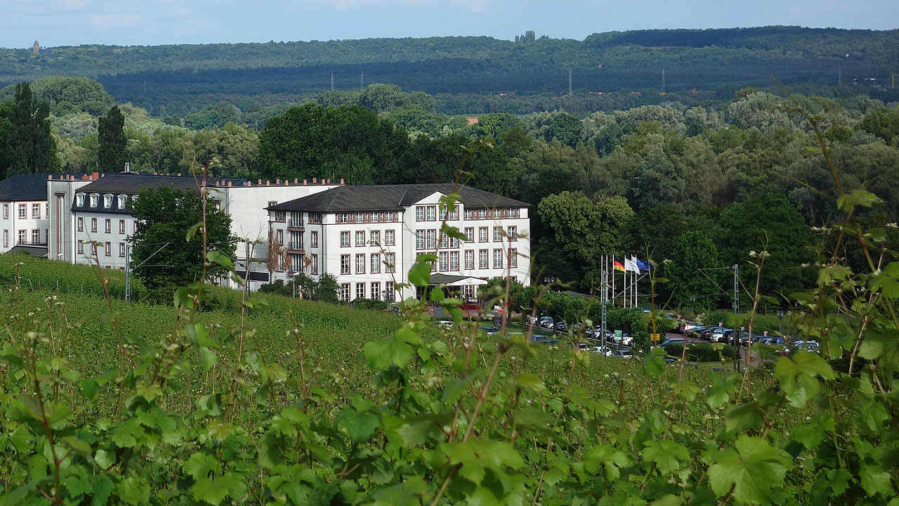 Erbacher Schlossberg