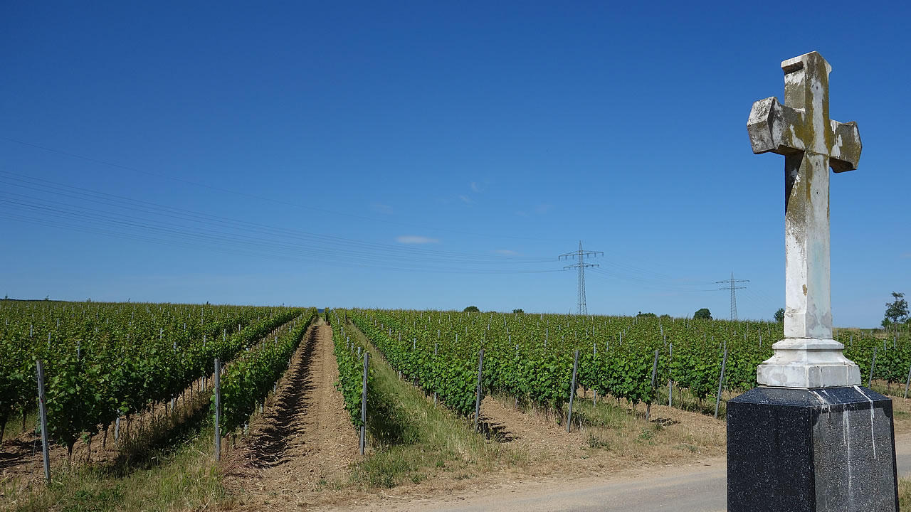 Erbacher Siegelsberg