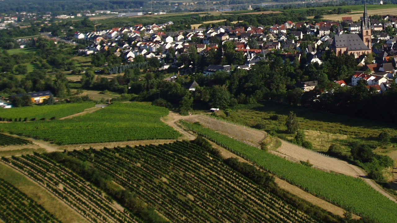 Über den Gräfenberg mit Blick auf Kiedrich