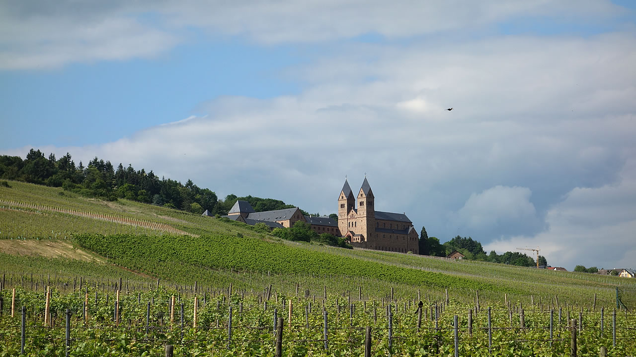 Rüdesheimer Klosterberg