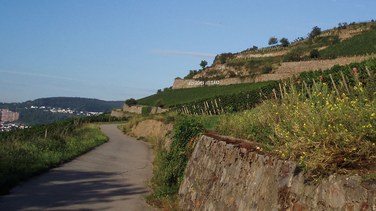 Rüdesheimer Berg Rottland