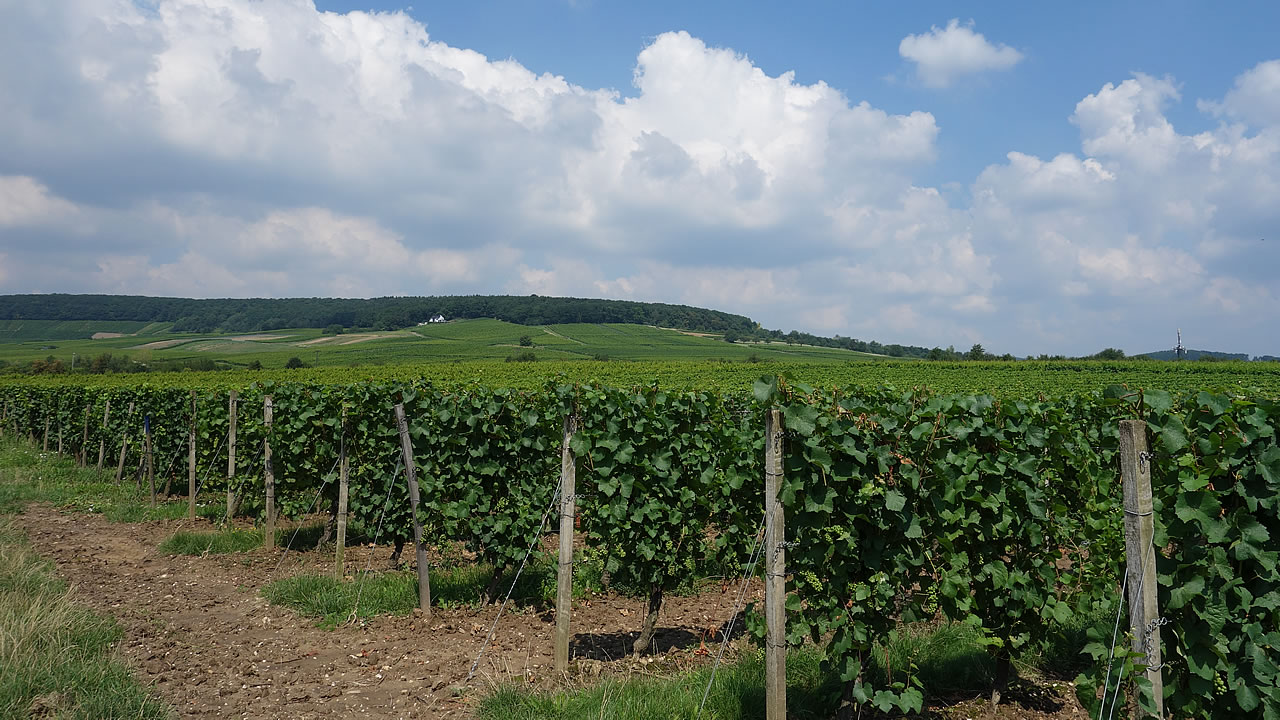 Wallufer Oberberg