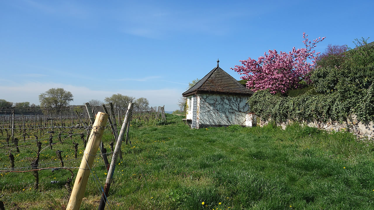 Winkeler Jesuitengarten