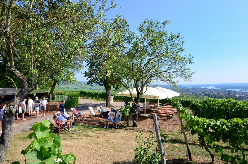 Weinstand in Johannisberg