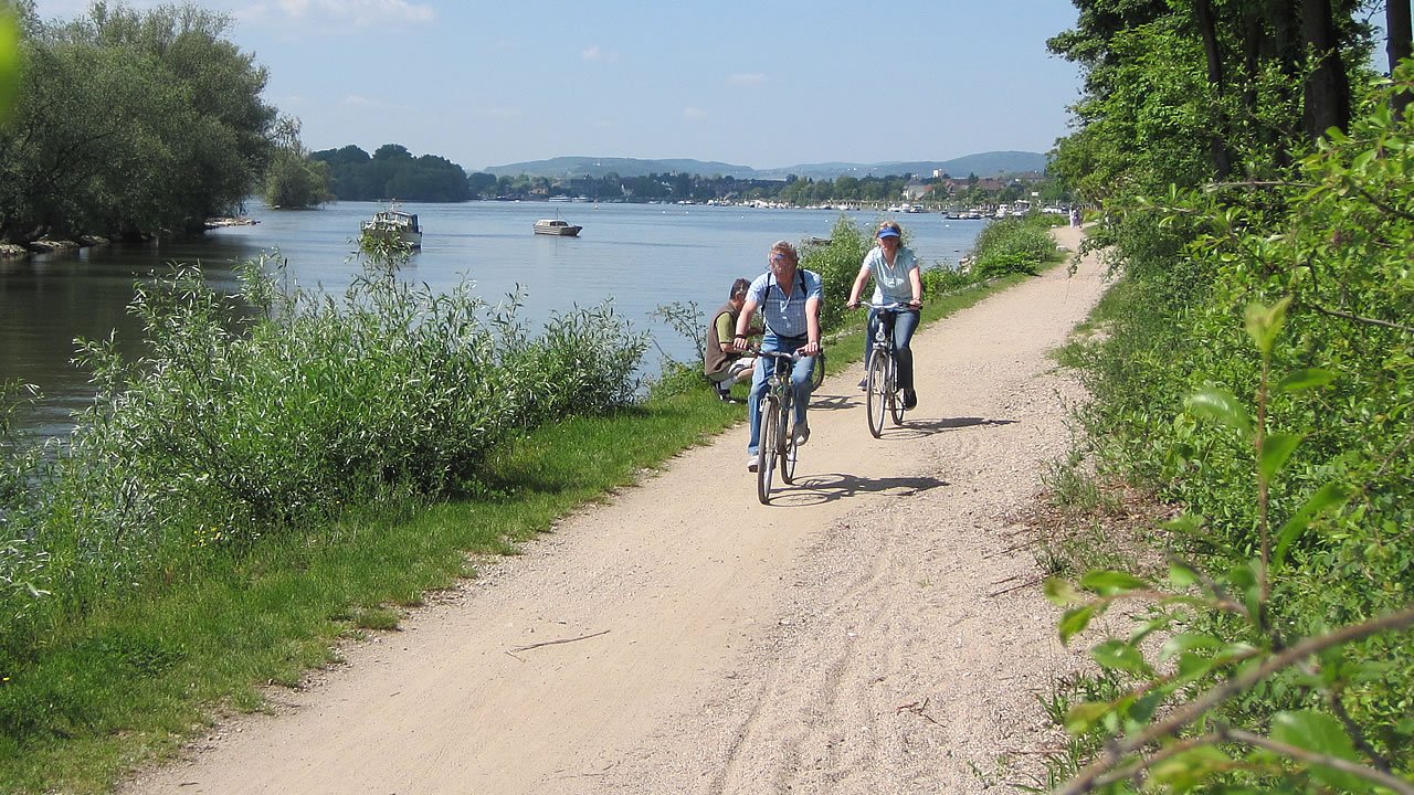 Der Leinpfad am Rhein lädt zum Radfahren ein