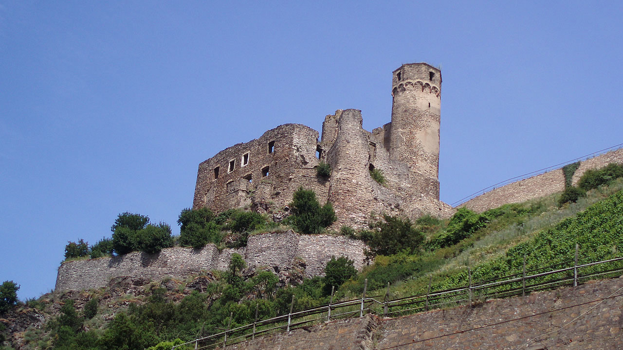 Die Burg Ehrenfels liegt zwischen Rüdesheim und Assmannshausen