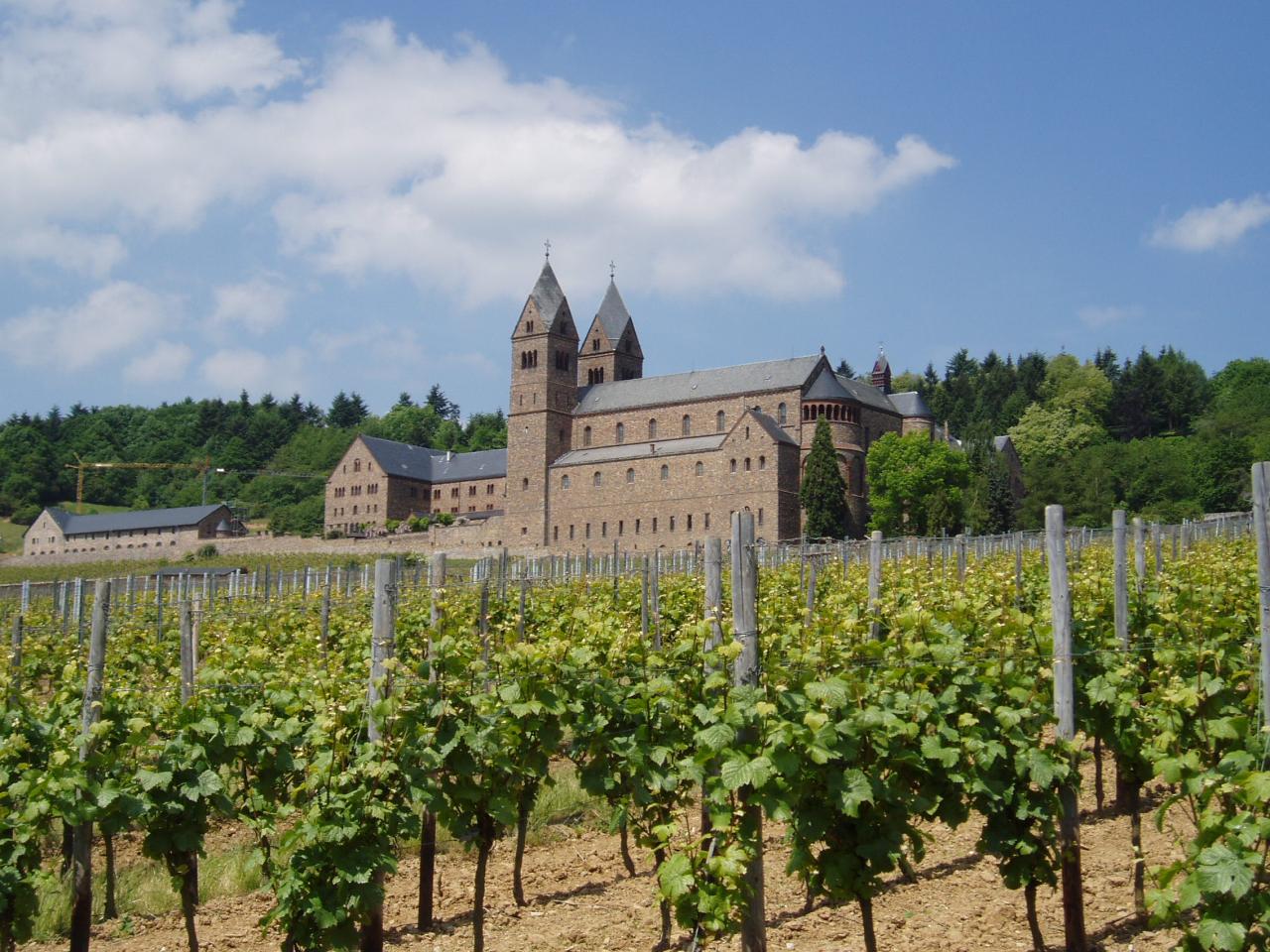 Die Wein-Walks starten im Weinberg des Herrn  / Die Abtei ragt aus den Weinbergen empor.