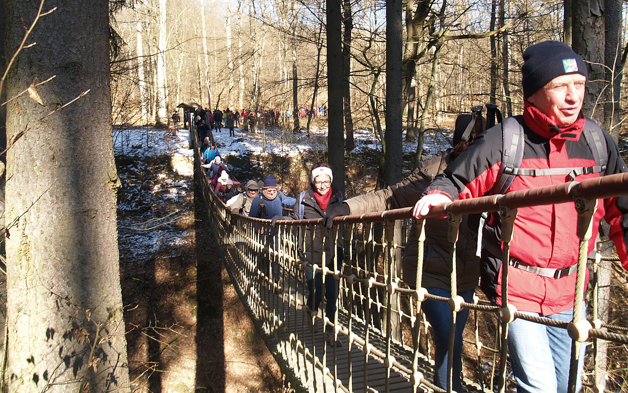 Hängeseilbrücke im Binger Wald