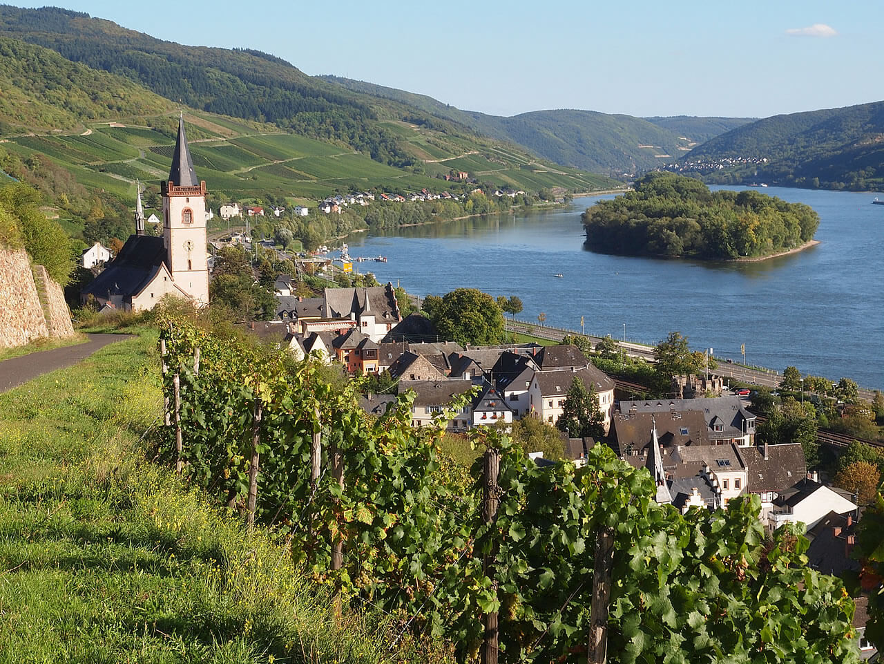 Blick auf Lorch am Rhein