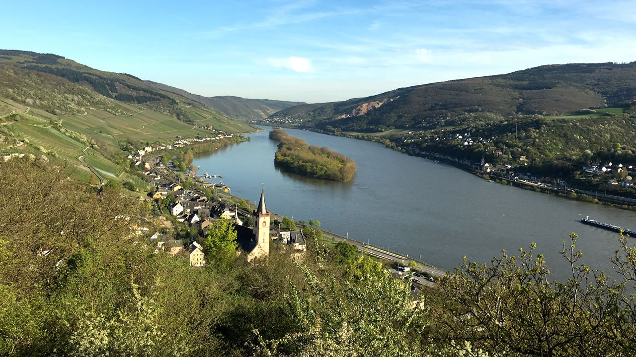 Blick auf Lorch am Rhein