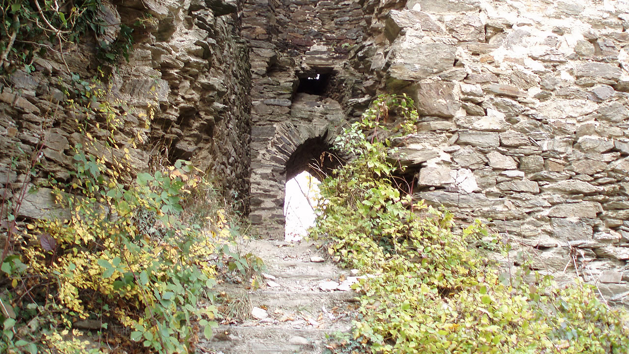 Diese Burgruine liegt versteckt im Wispertal