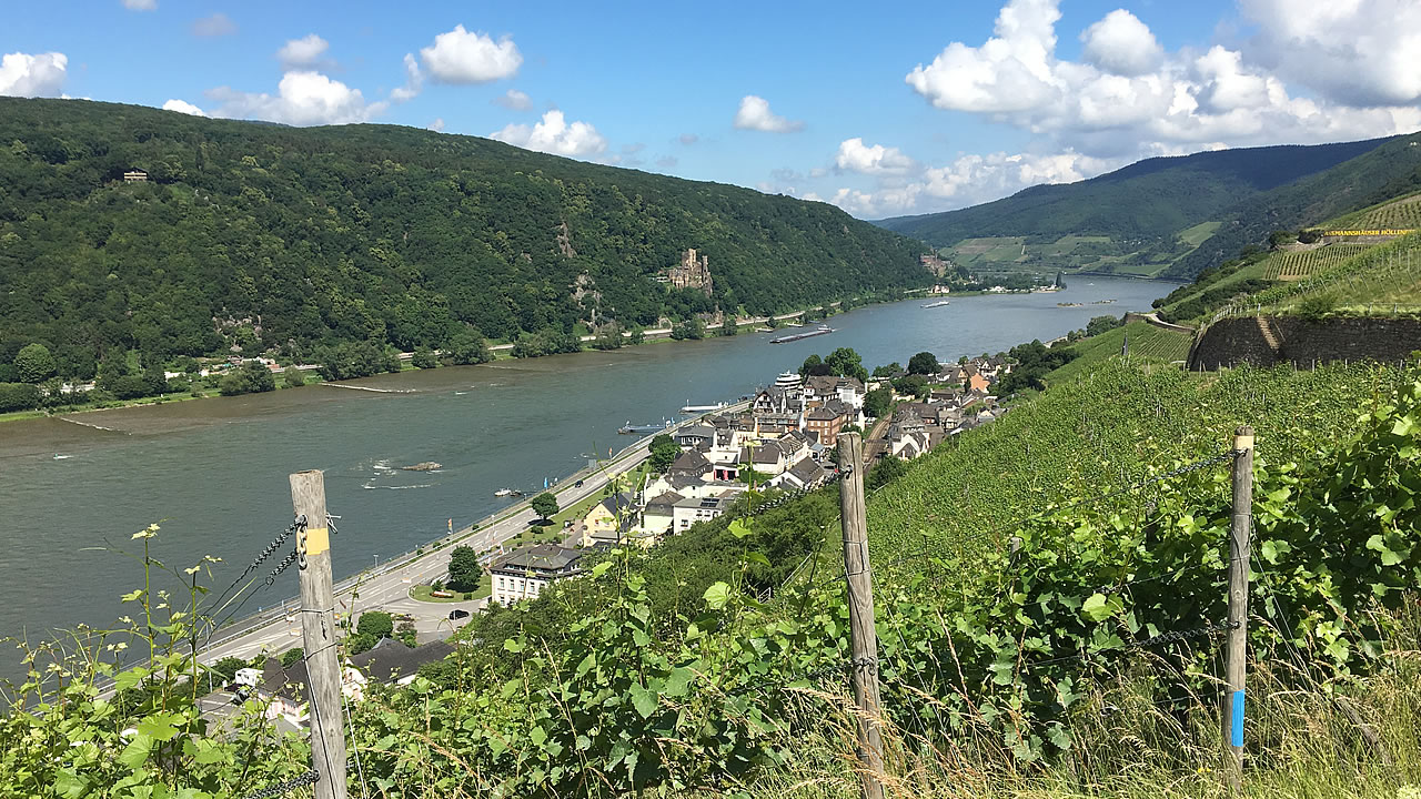 Herrlicher Blick über Assmannshausen am Rhein und auf die andere Rheinseite