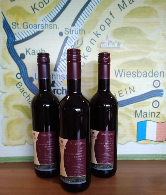 3er Pack - Rotwein vom Pinot Noir - Freistaat Flaschenhals